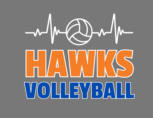 Heartbeat Volleyball