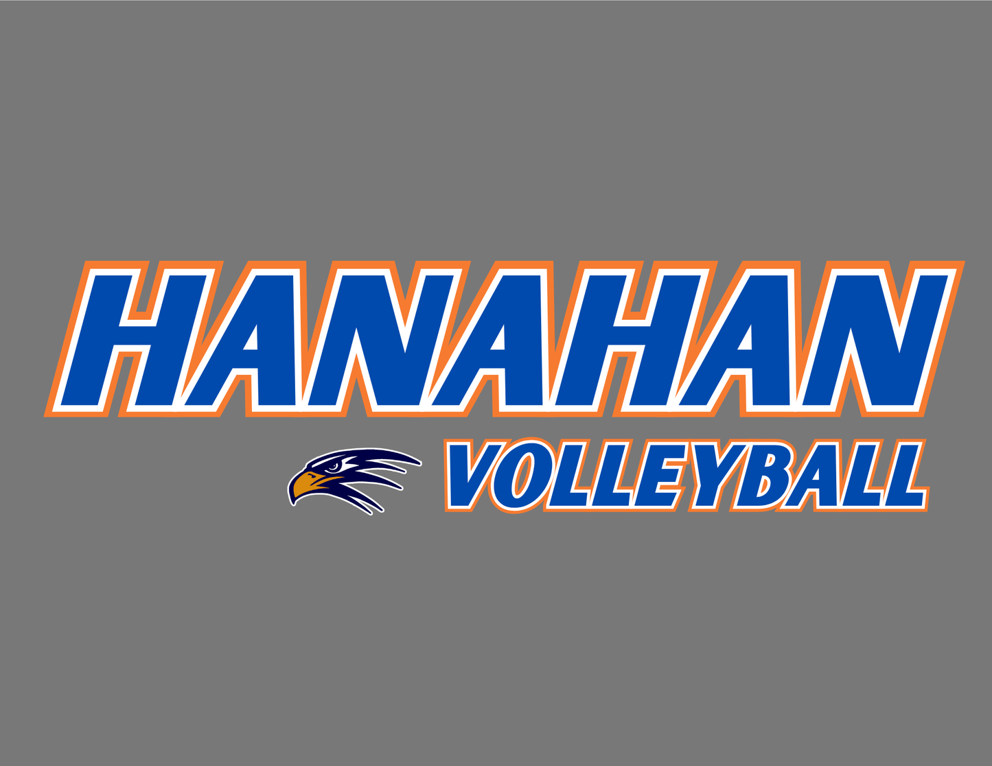 Hanahan Volleyball
