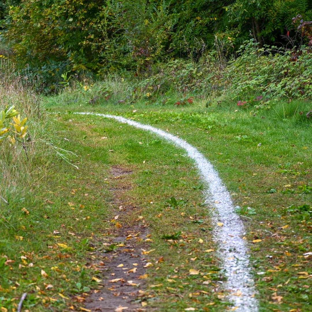 Cross Country