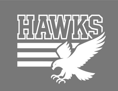 Hawks | 3 Bar Flying