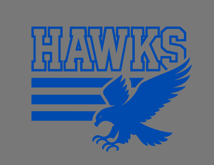 Hawks | 3 Bar Flying