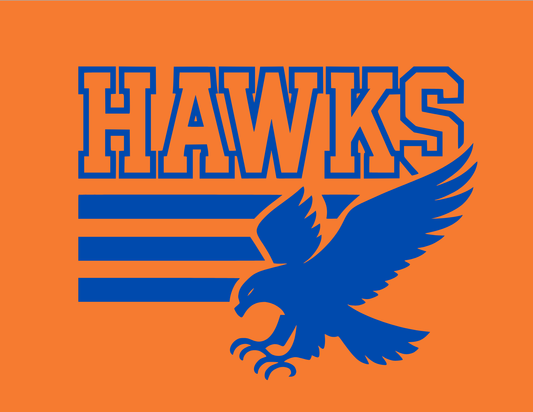 Hawks | 3 Bar Flying