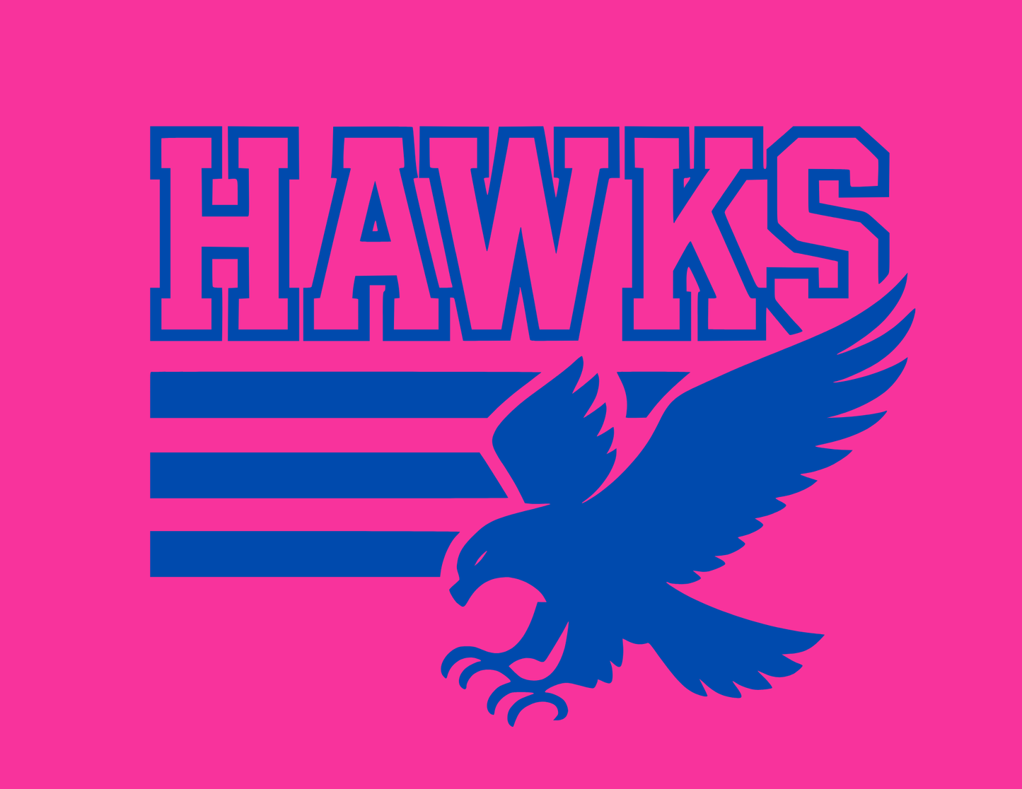 Hawks | 3 Bar Flying