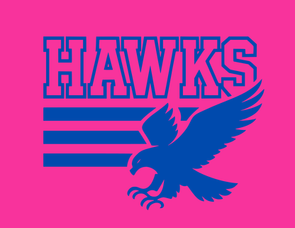 Hawks | 3 Bar Flying