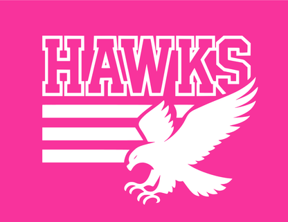 Hawks | 3 Bar Flying