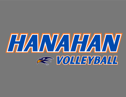 Hanahan Volleyball