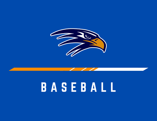 Hawk | Baseball
