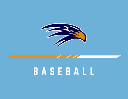 Hawk | Baseball