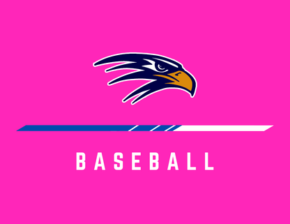 Hawk | Baseball