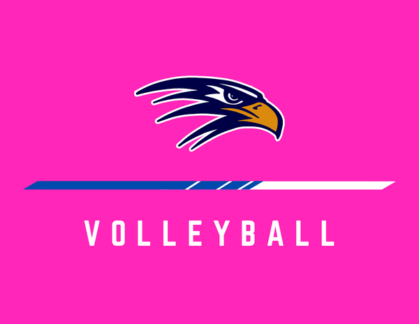 Pink Volleyball